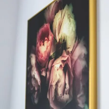 Le Cosy Dunkerquois Duinkerke