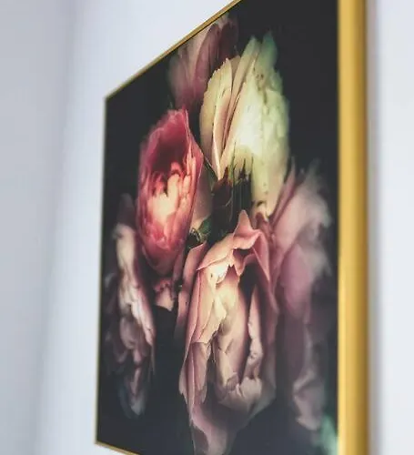 Le Cosy Dunkerquois Dunkirk